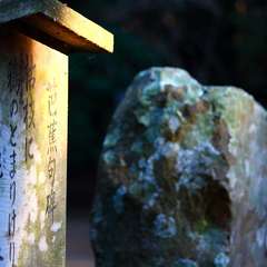 投稿日:2015年1月5日 写真