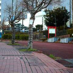 投稿日:2015年1月5日 写真