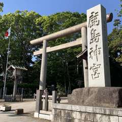 投稿日:2019年5月8日 写真