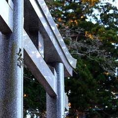 投稿日:2015年1月5日 写真