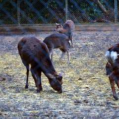 投稿日:2015年1月5日 写真