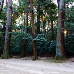 投稿日:2015年1月5日 写真