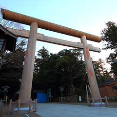 投稿日:2015年1月5日 写真