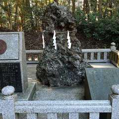 投稿日:2021年12月5日 写真