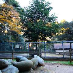 投稿日:2015年1月5日 写真