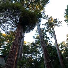 投稿日:2015年1月5日 写真
