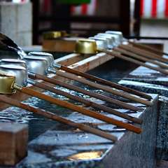 投稿日:2015年1月5日 写真