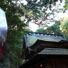 投稿日:2015年1月5日 写真