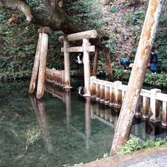 投稿日:2021年3月27日 写真