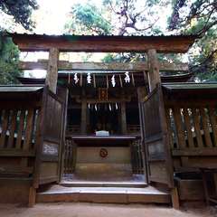 投稿日:2015年1月5日 写真