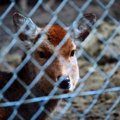 投稿日:2015年1月5日 写真