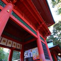 投稿日:2015年1月5日 写真