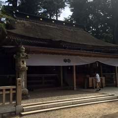 投稿日:2017年9月11日 写真