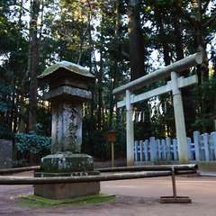 投稿日:2015年1月5日 写真