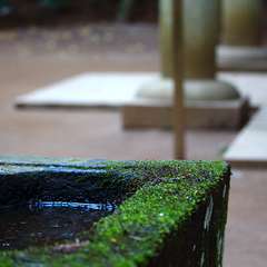 投稿日:2015年1月5日 写真