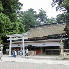 投稿日:2017年6月4日 写真