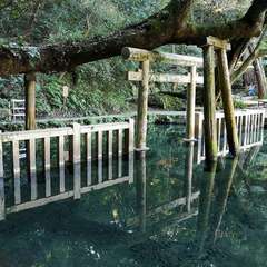 投稿日:2021年12月5日 写真