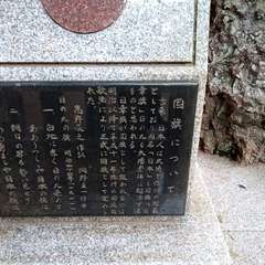 投稿日:2021年3月27日 写真