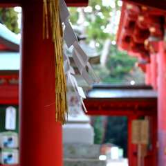 投稿日:2015年1月5日 写真