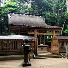 投稿日:2025年7月26日 写真