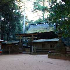 投稿日:2015年1月5日 写真