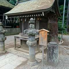 投稿日:2019年7月21日 写真