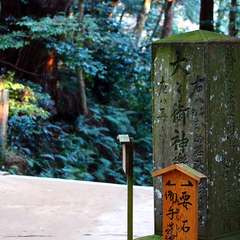 投稿日:2015年1月5日 写真