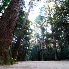 投稿日:2015年1月5日 写真