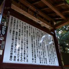 投稿日:2015年1月5日 写真