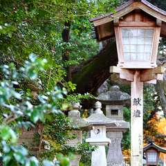 投稿日:2015年1月5日 写真