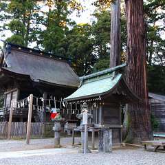 投稿日:2015年1月5日 写真