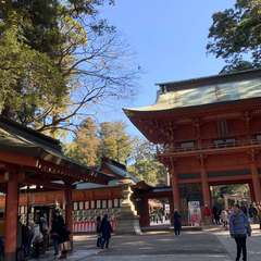 投稿日:2020年2月2日 写真