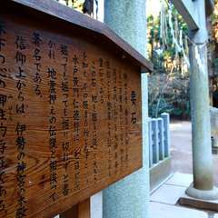 投稿日:2015年1月5日 写真