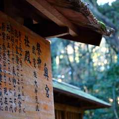 投稿日:2015年1月5日 写真