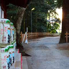 投稿日:2015年1月5日 写真