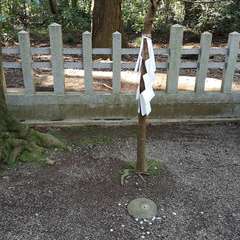 投稿日:2021年12月5日 写真