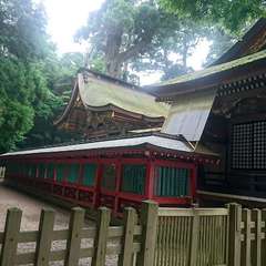 投稿日:2019年7月21日 写真