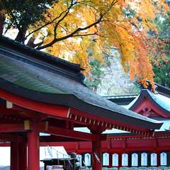 投稿日:2015年1月5日 写真