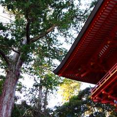 投稿日:2015年1月5日 写真