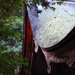 投稿日:2015年1月5日 写真