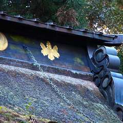 投稿日:2015年1月5日 写真