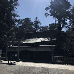 投稿日:2020年3月18日 写真