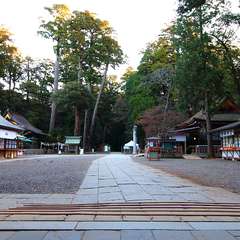 投稿日:2015年1月5日 写真