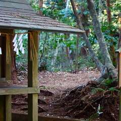 投稿日:2015年1月5日 写真