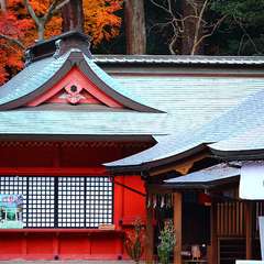 投稿日:2015年1月5日 写真