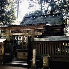 投稿日:2020年3月18日 写真