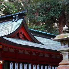 投稿日:2015年1月5日 写真