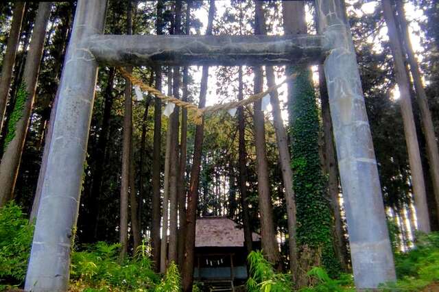 写真