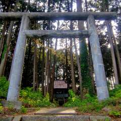 写真