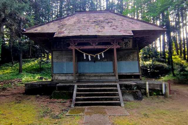 写真